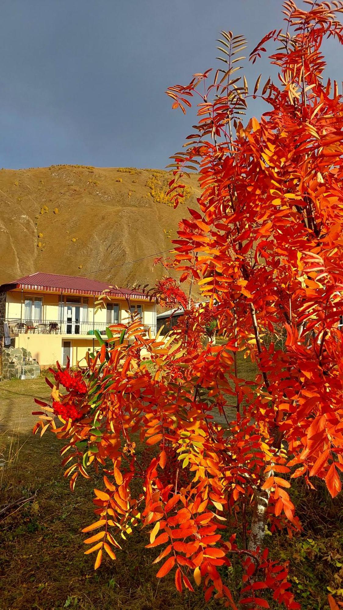 Hotel Garbani Stepantsminda Exterior photo